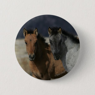 Mustang Foal Headshot Ronde Button 5,7 Cm