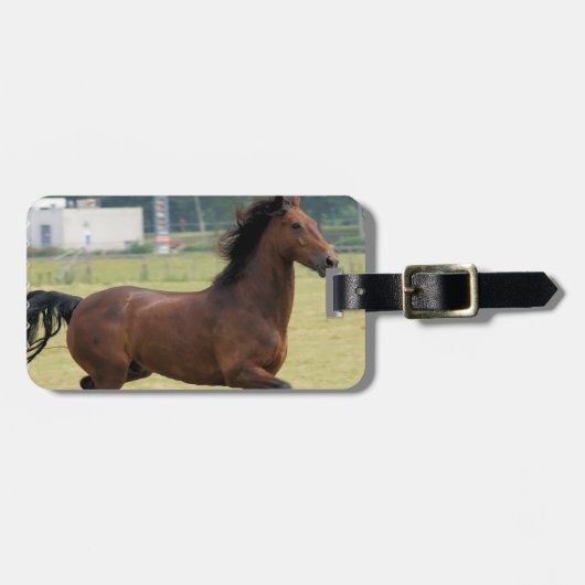 Mustang Galloping Bagagelabel (Voorkant horizontaal)