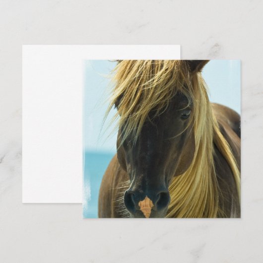 Mustang Horse Invitation Kaart (Voorkant / Achterkant)