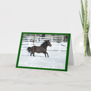 Mustang Horse Running Snow Seasons Wenskaart Kaart