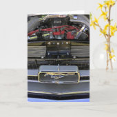 Mustang Kaart (Gele Bloem)