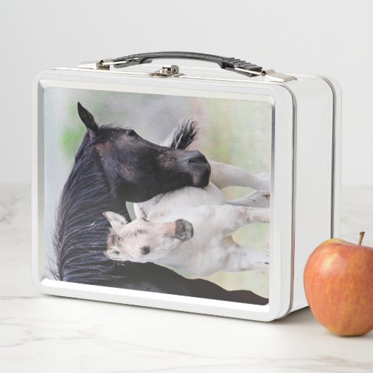 Mustang Lunch Box (In situ)