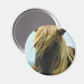 Mustang Magnet Magneet (Voorkant / Achterkant)