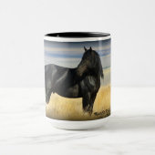 Mustang Mok met een flair. (Midden)