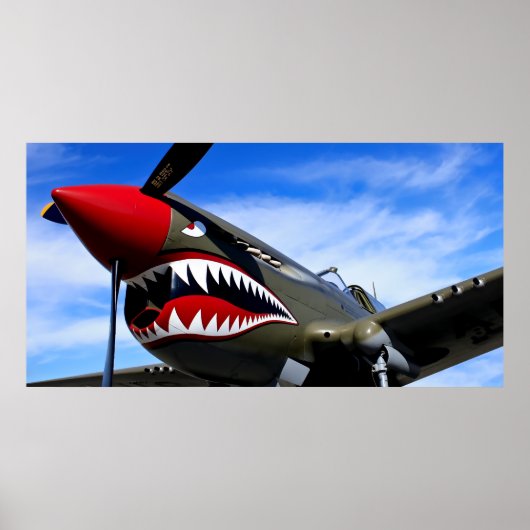 MUSTANG P-51 FIGHTER POSTER (Voorkant)