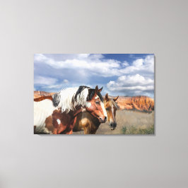 Mustang paarden in het wild, hengst en zijn merrie canvas afdruk