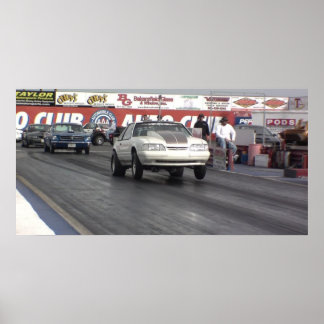 Mustang Rules. Poster