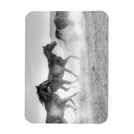 Mustang Run Magneet (Verticaal)