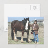 Mustang-Spirit Post Card Briefkaart (Voorkant / Achterkant)