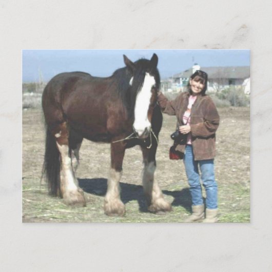 Mustang-Spirit Post Card Briefkaart (Voorkant)