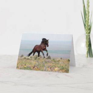 Mustang Stallion, Clancy - Carte de voeux