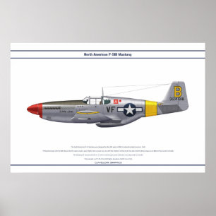 Mustang USA 5FS 1 Poster
