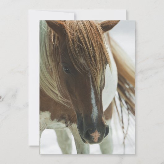 Mustang Wild Horse Invitation Kaart (Voorkant)