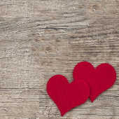 Mustang Wild Xtend Sleutelhanger