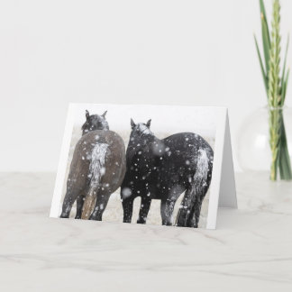 Mustangs sauvages dans la carte Neige