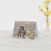 Mustangs sauvages dans la carte Neige (Fleur jaune)