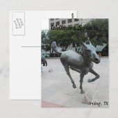 Mustangs van Las Colinas # 11 Briefkaart (Voorkant / Achterkant)