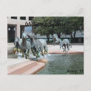 Mustangs van Las Colinas # 12 Briefkaart