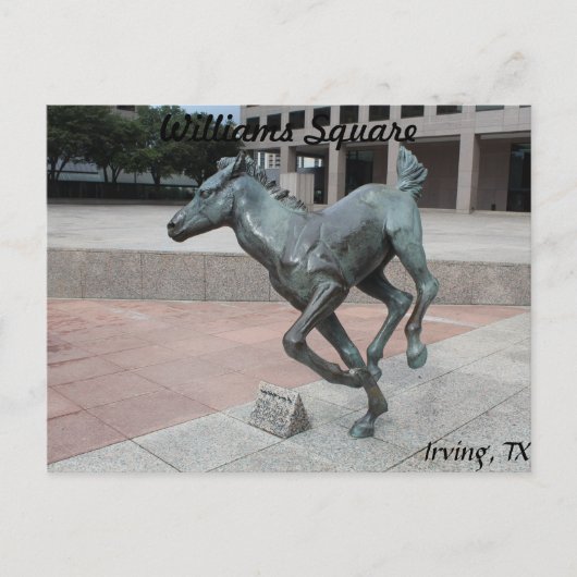 Mustangs van Las Colinas # 13 Briefkaart (Voorkant)