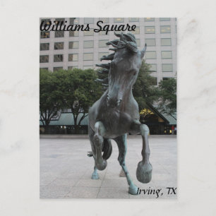 Mustangs van Las Colinas # 25 Briefkaart