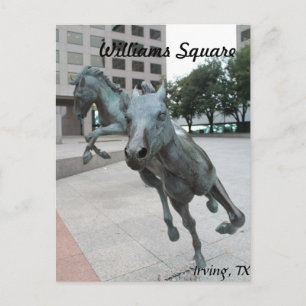 Mustangs van Las Colinas # 29 Briefkaart