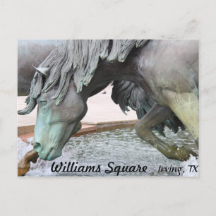 Mustangs van Las Colinas # 8 Briefkaart