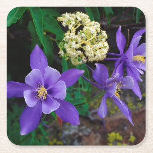 Mutante Aquilegia-wildbloemen Vierkante Kartonnen Onderzetter