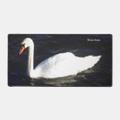 Mute Swan (Recto)
