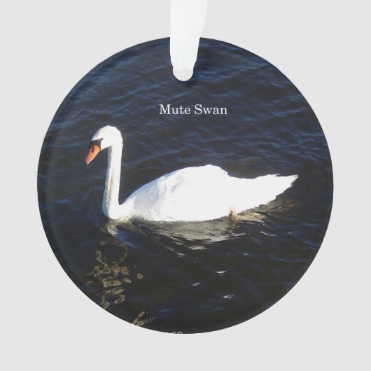 Mute Swan acrylversiering Ornament (voorkant)