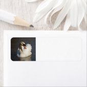 Mute Swan Etiket (Insitu)