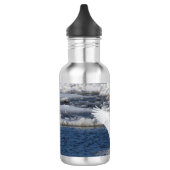 Mute Swan Fledging Waterfles (Links)