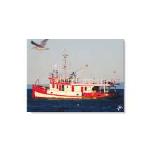 Mutiny Bay Sleepboot Flying Bird Fotografie