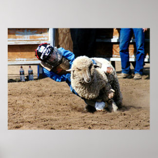 Mutton Buster Tries Poster