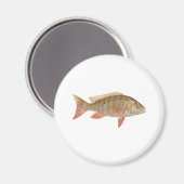 Mutton Snapper illustratie Magneet (Voorkant / Achterkant)