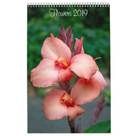 Muur 2019 van Lisa Blake Kalender