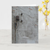 muur kaart (Gele Bloem)