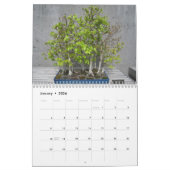 Muur kalender met Bonsai (Jan 2026)