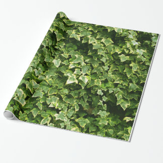 Muur van ijzige bladeren cadeaupapier