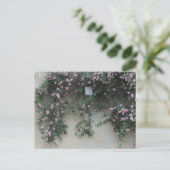 Muur van Rozen Briefkaart (Staand voorkant)