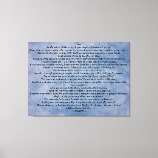 MUURCANVAS ART&DESIGN STIJL CANVAS AFDRUK (Voorkant)