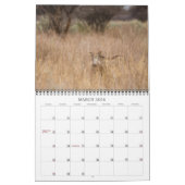 Muurkalender Namibië 2013 Kalender (Mar 2026)