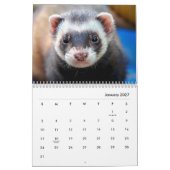 Muurkalender voor fretten kalender (Jan 2027)
