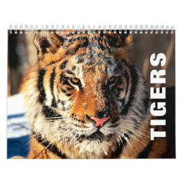 Muurkalender voor tigers kalender