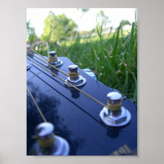Muziek in Natuur Poster