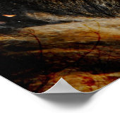 Muziek & katten - Kunstafdrukken Poster (Hoek)