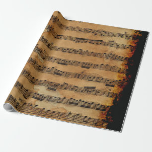 Muziek-minnaar muziek-op-vellen cadeaupapier