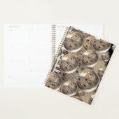 Muziek Planner (Display)