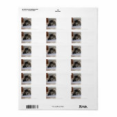 Muziekkat-Adresetiketten Etiket (Full Sheet)