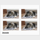 Muziekkat Inkomende Stickers (Vel)