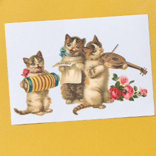 Muziekkatten Briefkaart